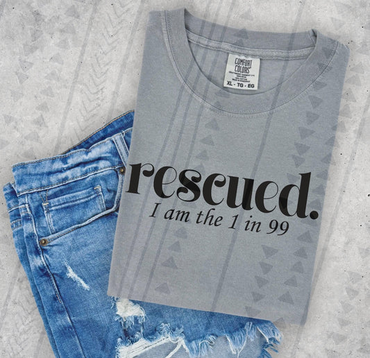 Rescued DTF Transfer