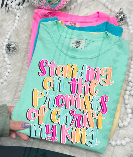 Promises of Christ DTF Transfer