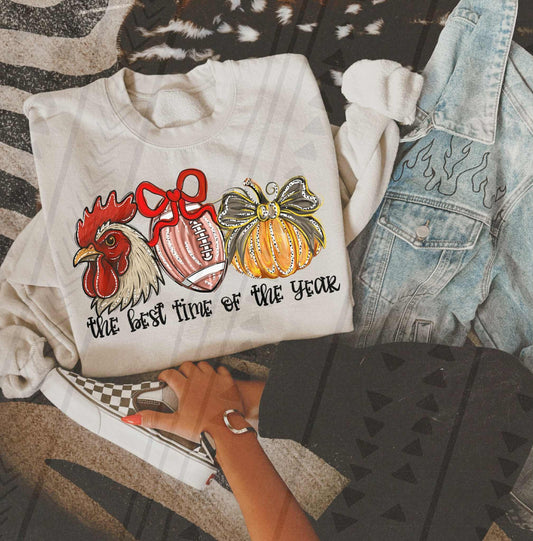 Best Time Of The Year - Gamecocks DTF Transfer