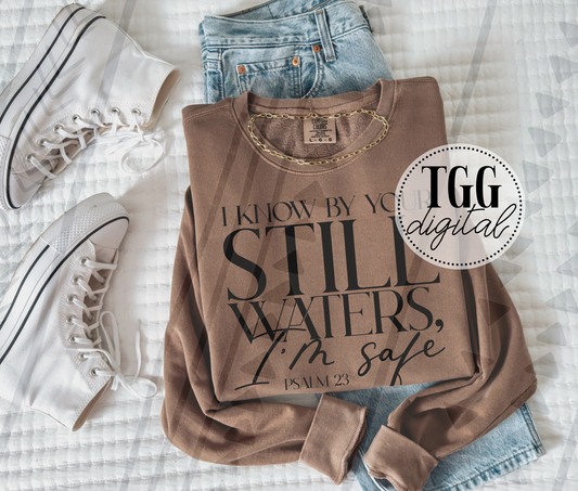 Still Waters DIGITAL