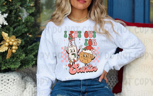 I Put Out for Santa DTF Transfer