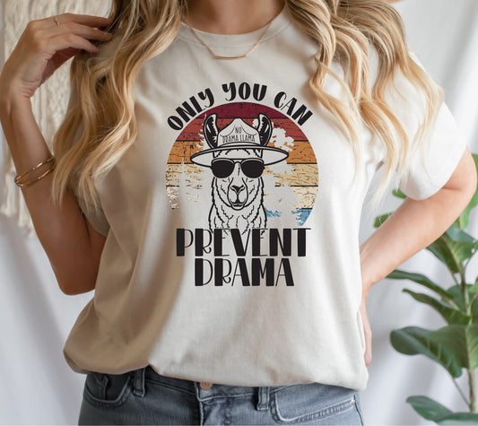 No Drama Llama Transfer